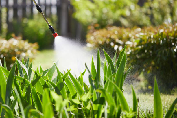 24/7 Emergency Mosquito Control experts in Culver, IN