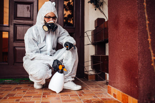 Reliable Mosquito Control contractor in Culver, IN by Show Me Pest Control